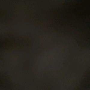 Meet your Posher, Tania